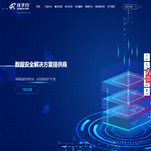 任子行-网络空间数据治理专家